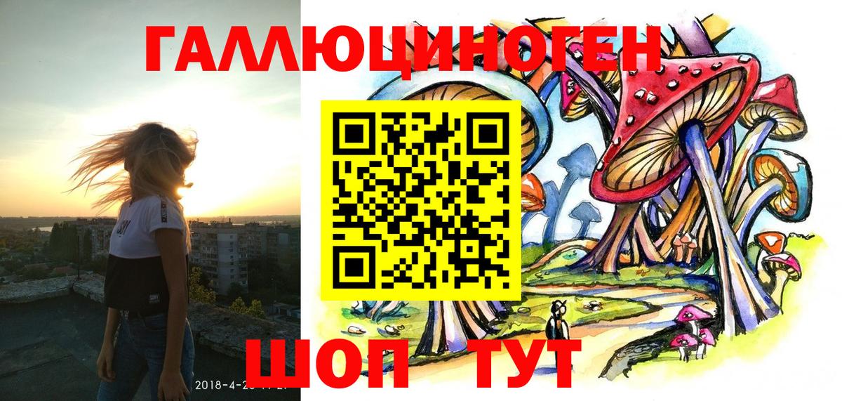 Псилоцибиновые грибы Psilocybine cubensis Рузаевка