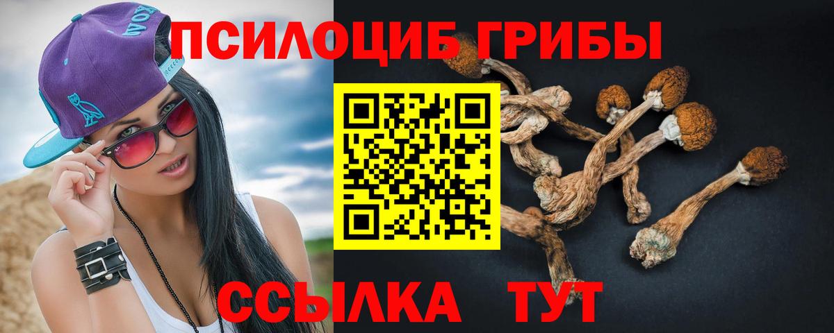 Псилоцибиновые грибы мицелий  Вход с VPN  Галлюциногенные грибы ЛСД  Рузаевка 